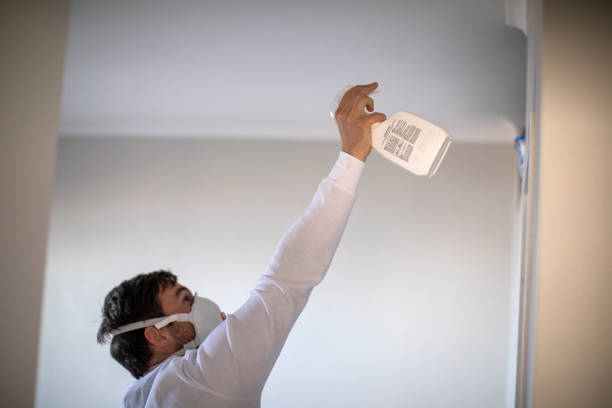 Best Insurance-Related Mold Remediation in South San Francisco, CA