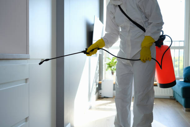Reliable South San Francisco, CA Mold Remediation Solutions